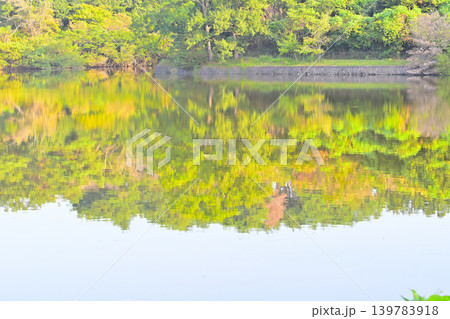 八丁湖 水鏡 埼玉県吉見町 八丁湖 水鏡 埼玉県吉見町 139783918