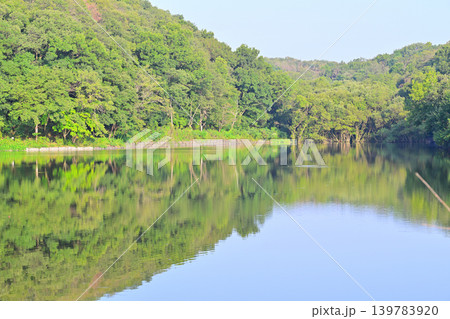 八丁湖　水鏡　埼玉県吉見町 139783920