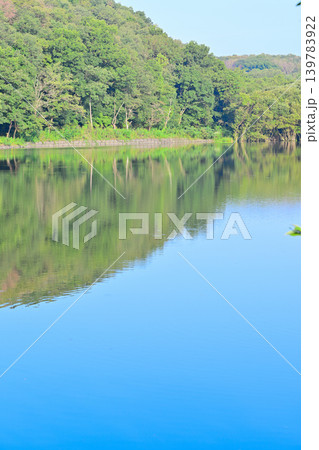 八丁湖 埼玉県吉見町 八丁湖 埼玉県吉見町 139783922