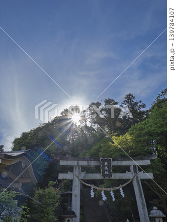 鎮守の森から神々しい光が射し込む、初夏の飛鳥坐神社 139784107