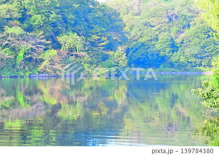 八丁湖　水鏡　埼玉県吉見町 139784380