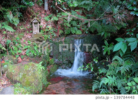 名水100選にも選ばれた、鳥取県米子市の「天の真名井」：湧出地周辺の情景 139784448