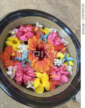 水に浮かぶ花 水に浮かぶ花 139784510