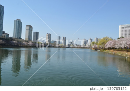 韓国 ソウル蚕室 石村湖に咲く桜 韓国 ソウル蚕室 石村湖に咲く桜 139785122