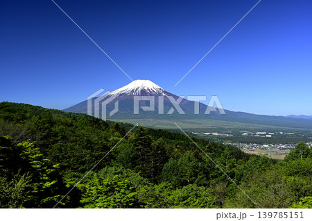 5月の富士山 (撮影地:二十曲峠) 5月の富士山 (撮影地:二十曲峠) 139785151