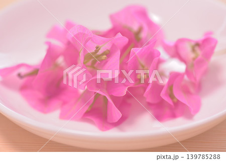 こぼれ花 139785288