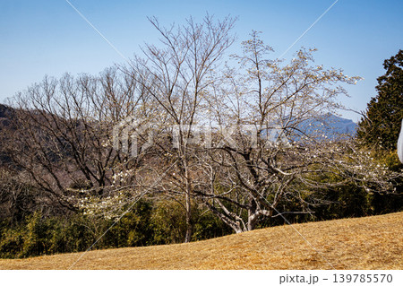 茨城県筑波山の山頂から見た下界の景色 139785570