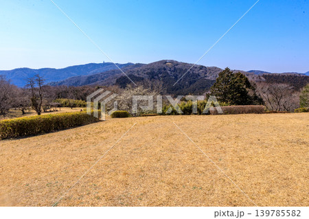 茨城県筑波山の山頂から見た下界の景色 茨城県筑波山の山頂から見た下界の景色 139785582