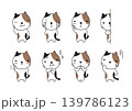 ぶち猫セット 139786123