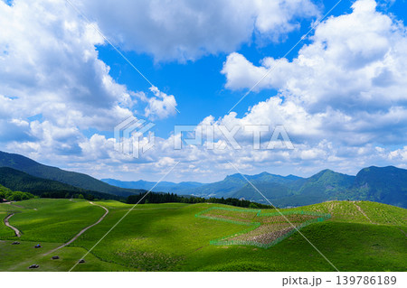 初夏の曾爾高原　亀山峠へ向かう登山道の中腹から見た高原の風景　大空に広がる雲とグラデーションの高原 139786189