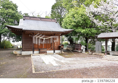 岩槻散歩:鷲宮神社 社殿 岩槻散歩:鷲宮神社 社殿 139786228