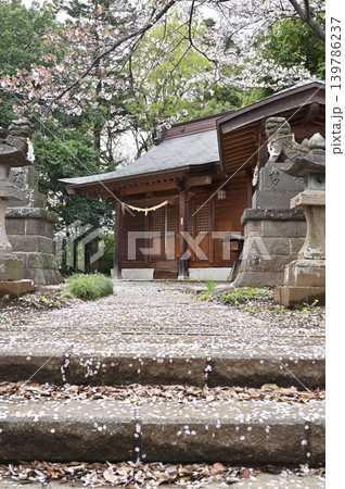 岩槻散歩:鷲宮神社 社殿 岩槻散歩:鷲宮神社 社殿 139786237