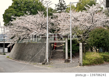 岩槻散歩:鷲宮神社 社標柱 / 石鳥居 岩槻散歩:鷲宮神社 社標柱 / 石鳥居 139786241