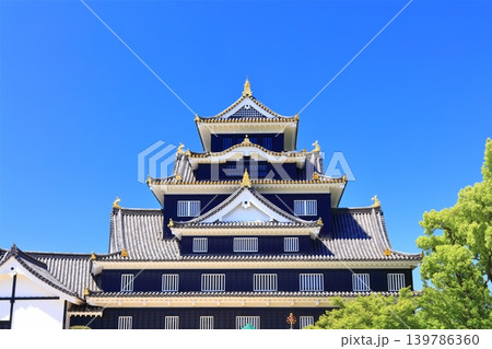【岡山県】春の岡山城（春の鳥城灯源郷） 139786360