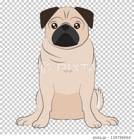 A sitting pug (fawn) A sitting pug (fawn) 139786668