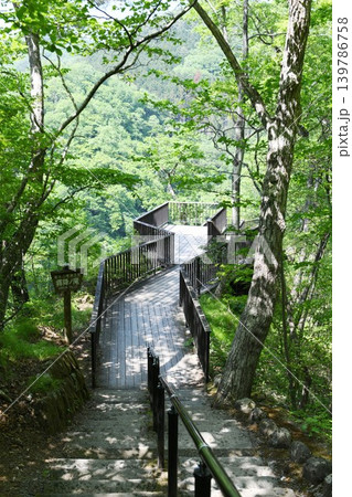 【日光市 日光国立公園「霧降の滝」観瀑台】 【日光市 日光国立公園「霧降の滝」観瀑台】 139786758