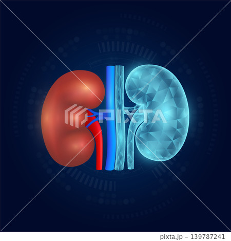 Heart realistic shape model with translucent polygon on dark blue background. Medical science technology. Vector EPS10. Heart realistic shape model with translucent polygon on dark blue background. Medical science technology. Vector EPS10. 139787241