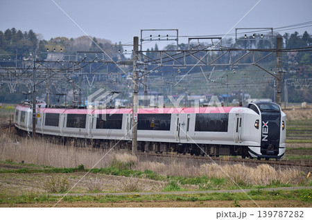 総武本線　佐倉－物井　JR東日本　E259系　Ne001編成（鎌倉）　成田エクスプレス　NEX 139787282