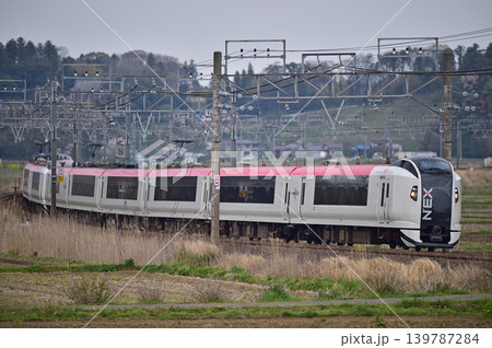 総武本線　佐倉－物井　JR東日本　E259系　Ne009編成（鎌倉）　成田エクスプレス　NEX 139787284