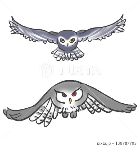 空を飛ぶふくろうとミミズクのシンプルなイラスト 139787705