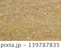 大麦畑 139787835