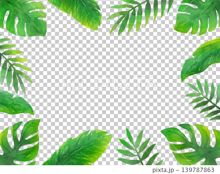 水彩熱帶植物畫框 水彩熱帶植物畫框 139787863