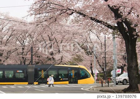 宇都宮LRT 宇都宮LRT 139788076