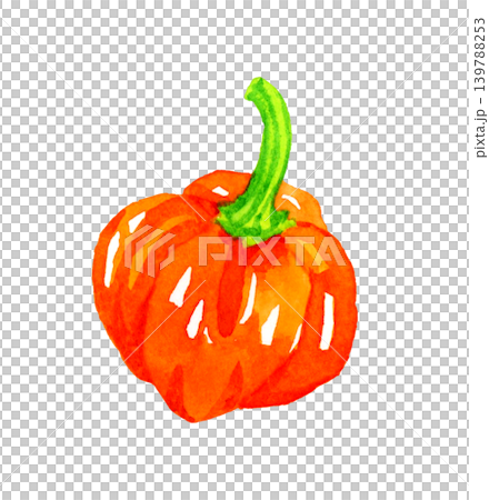 橘色(紅色)哈瓦那辣椒 - 手繪水彩蔬菜插圖。 橘色(紅色)哈瓦那辣椒 - 手繪水彩蔬菜插圖。 139788253