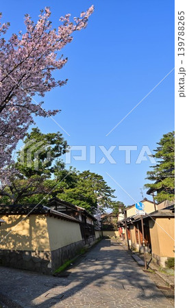 桜咲く春の長町武家屋敷跡 桜咲く春の長町武家屋敷跡 139788265