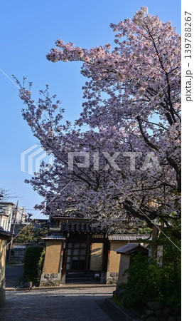 桜咲く春の長町武家屋敷跡 139788267