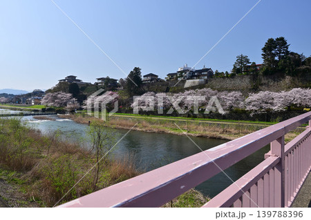 桜が満開の犀川 桜が満開の犀川 139788396