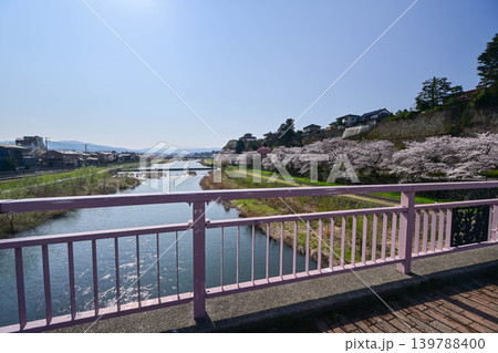 桜が満開の犀川 桜が満開の犀川 139788400