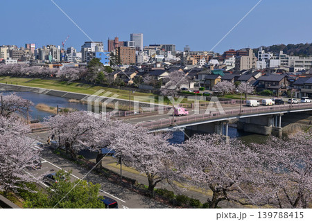 桜が満開の犀川 桜が満開の犀川 139788415