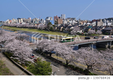 桜が満開の犀川 桜が満開の犀川 139788416
