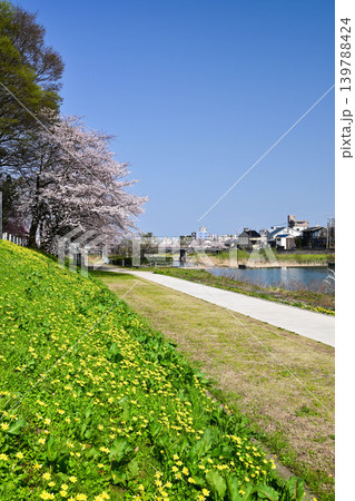 桜が満開の犀川 139788424