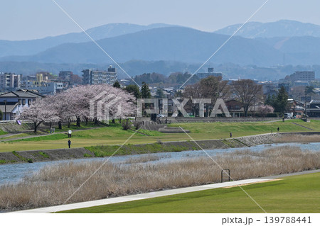桜が満開の犀川 139788441