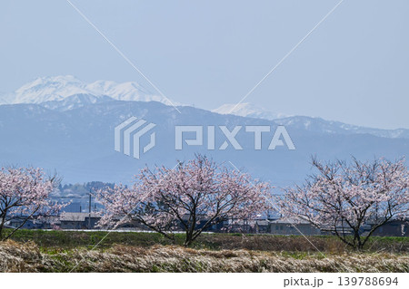 金沢市郊外から眺める残雪の白山と桜 金沢市郊外から眺める残雪の白山と桜 139788694