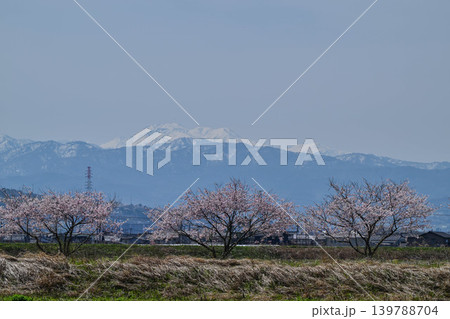 金沢市郊外から眺める残雪の白山と桜 金沢市郊外から眺める残雪の白山と桜 139788704