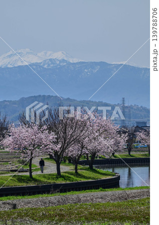 金沢市郊外から眺める残雪の白山と桜 金沢市郊外から眺める残雪の白山と桜 139788706