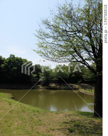 夏の大泉さくら運動公園 夏の大泉さくら運動公園 139788818