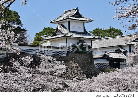 桜満開の金沢城公園 桜満開の金沢城公園 139788871