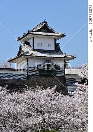 桜満開の金沢城公園 桜満開の金沢城公園 139788873