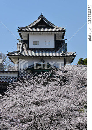 桜満開の金沢城公園 桜満開の金沢城公園 139788874