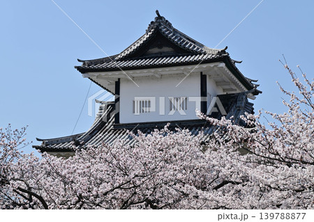 桜満開の金沢城公園 139788877