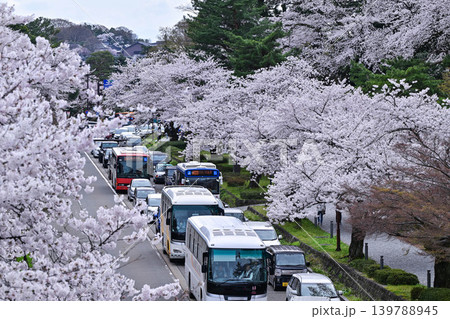 桜満開の金沢城公園 桜満開の金沢城公園 139788945