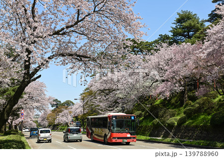 桜満開の金沢城公園 桜満開の金沢城公園 139788960