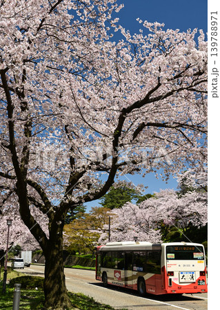 桜満開の金沢城公園 桜満開の金沢城公園 139788971