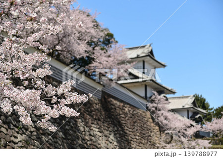 桜満開の金沢城公園 139788977