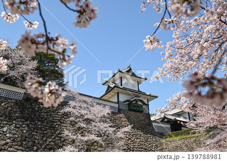 桜満開の金沢城公園 桜満開の金沢城公園 139788981