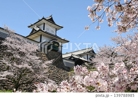 桜満開の金沢城公園 139788985